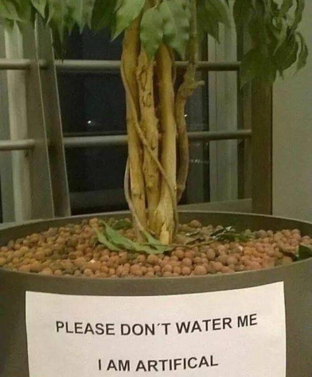 image.thumb.jpeg.a62e86ce6e24dffc845f0e0a409c21c3.jpeg
