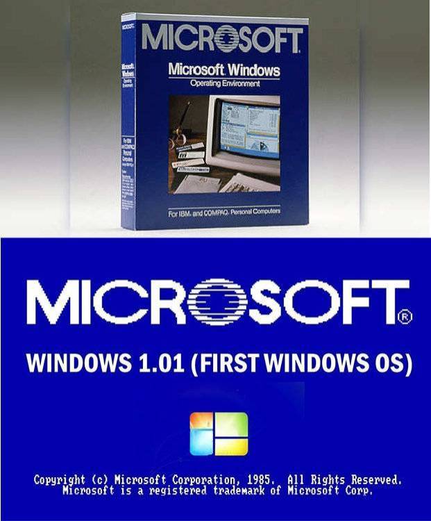 win1.jpg