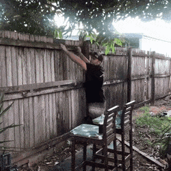 image.gif.1701a6b416e480a2a241848f88011f4a.gif