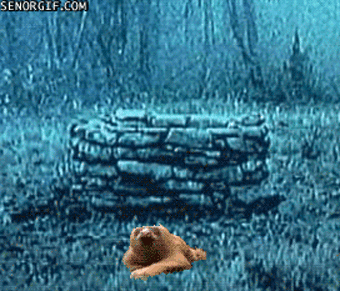 image.gif.7167e84ba497dca405d69f9efd69cd0d.gif