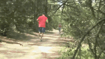 image.gif.fba33da114848a144580407f54d70c4c.gif