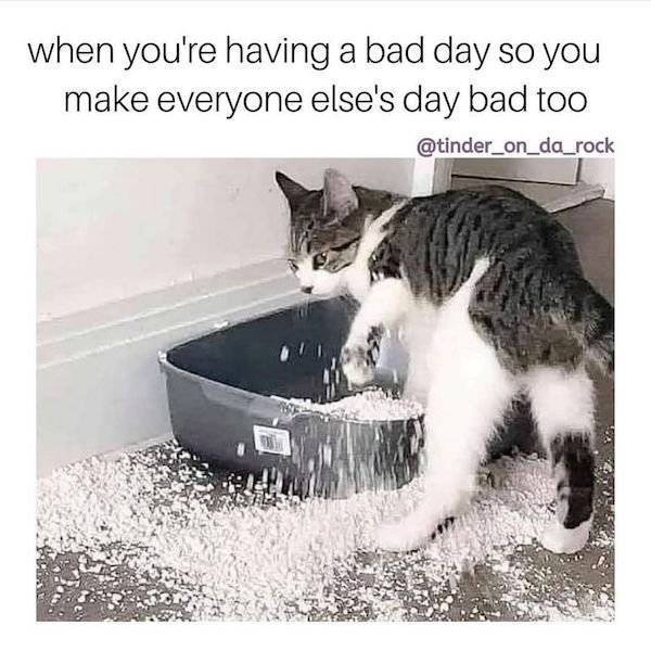 image.jpeg.294e659a8d0d740734f94f5fb52c0b05.jpeg