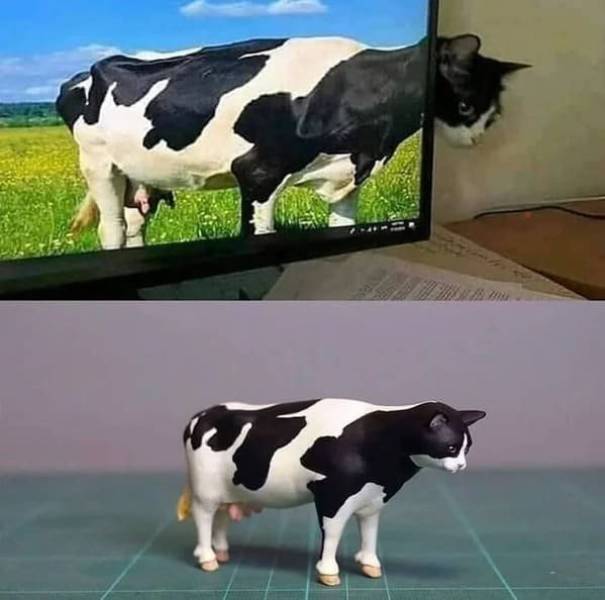 image.jpeg.3d6659b135e66414a449cdc345c10143.jpeg