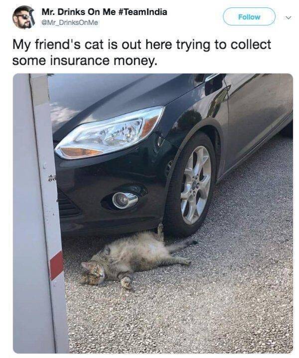 image.jpeg.5164e34eb67afdf010f7d56776df5256.jpeg