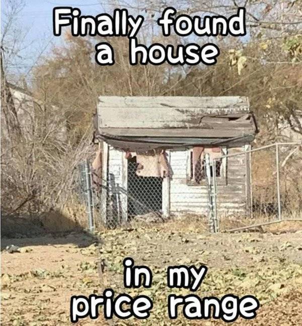 image.jpeg.584958d8991510aa4a6f91fa500f99e1.jpeg