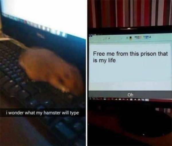 image.jpeg.719c0d2c28a07f3d4c2e45425f0c1b87.jpeg