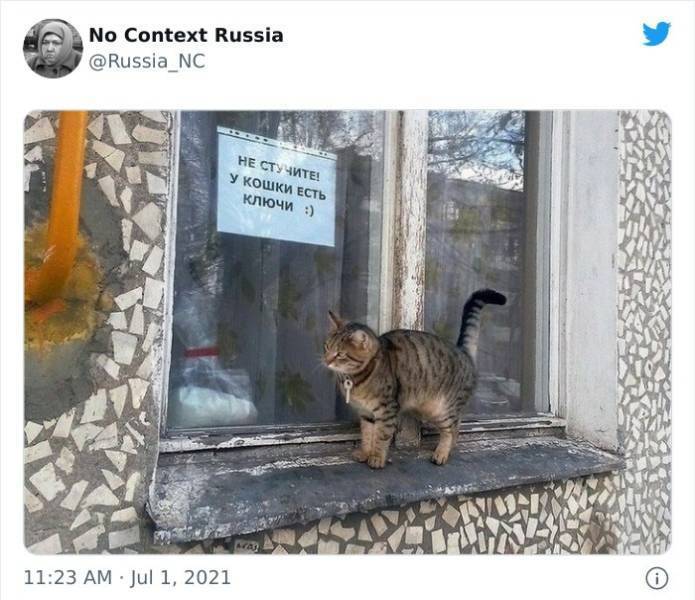 image.jpeg.8367f33bce8f2c5ac7765b27619ffebd.jpeg