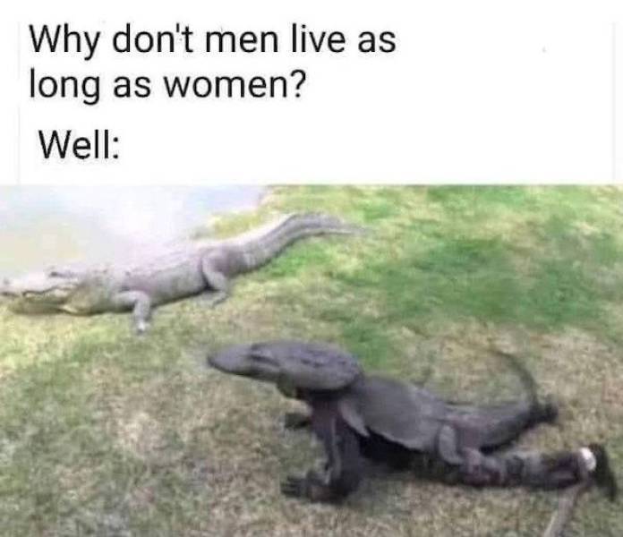image.jpeg.8e50a6c8a7e8643121d5f626f961ff20.jpeg