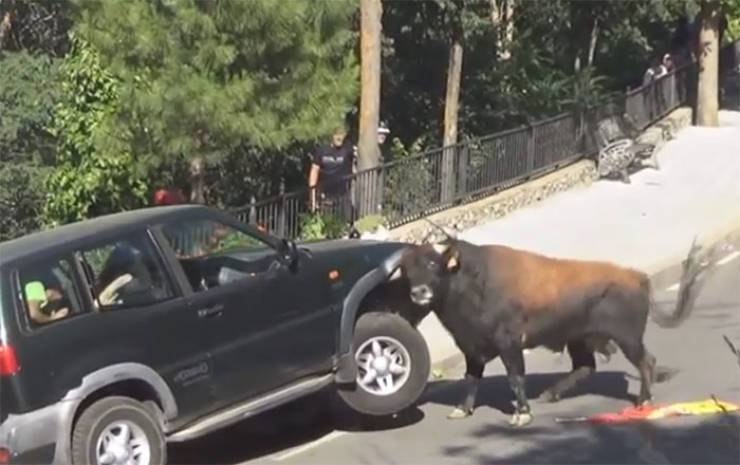 image.jpeg.be404ed4a6980c5c1cce244867221796.jpeg