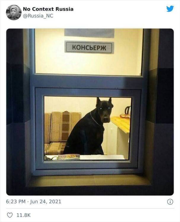 image.thumb.jpeg.24e1a2ed262145ae36185956e2114b14.jpeg