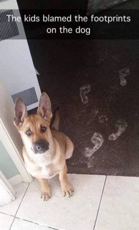 image.thumb.jpeg.61d405d5e56fd171821aa67cda4e30e7.jpeg
