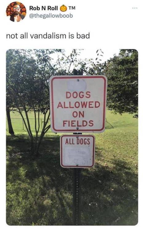 image.thumb.jpeg.982234ab32b9fd6e9112c387bd835372.jpeg
