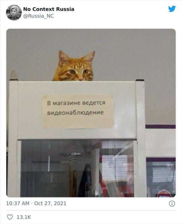 image.thumb.jpeg.9bd286d7437deccbffbdaf9c4db0e901.jpeg