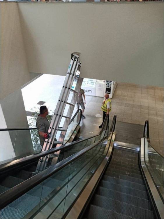 image.thumb.jpeg.d3ed05bf926dec69580d6c2c0c5295f8.jpeg