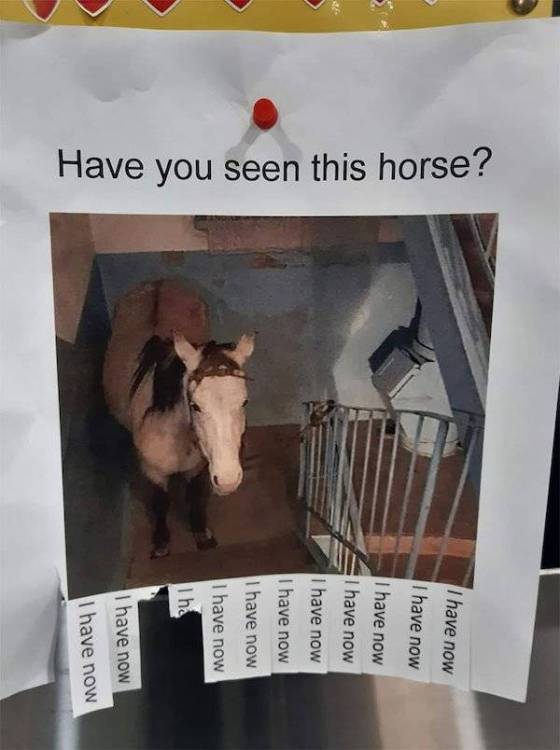 image.thumb.jpeg.d8ecfcec5a87dc8d4f3d5a786023035b.jpeg