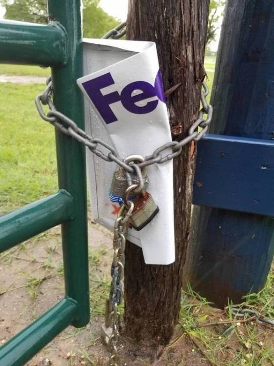 image.thumb.jpeg.e736aa676894b9587d6d27d6d8b69263.jpeg