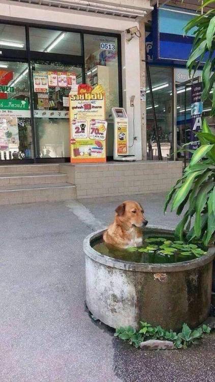 image.thumb.jpeg.f032b98b09d9b25a478703fd18ce5c5d.jpeg
