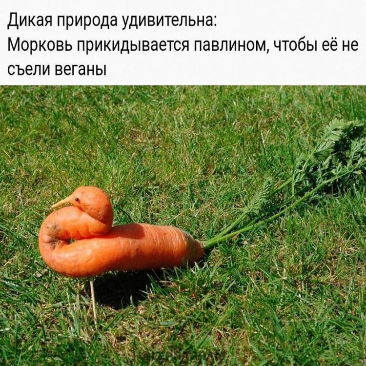 ггх.jpg