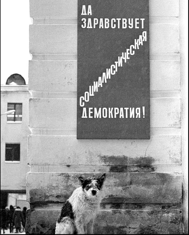 democracy_ussr.thumb.png.6457cff403af0cb0c08575b3f20110ca.png