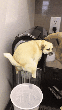 image.gif.bb16fda9f8d7192de5cc324b68f19d55.gif