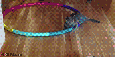 image.gif.eaa58309fc8a85cc4bcd3fde2f149ed2.gif