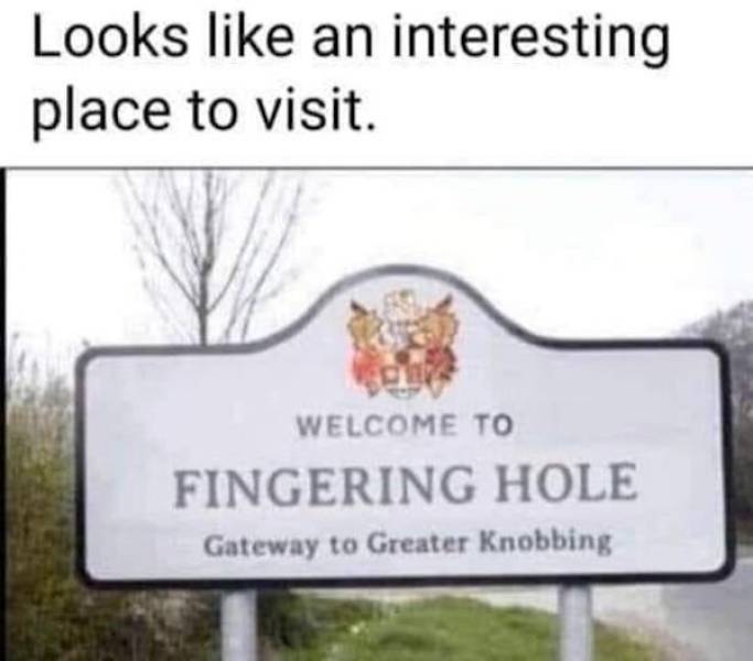 image.jpeg.3a02fedbce1351087fff70b57806ebcb.jpeg