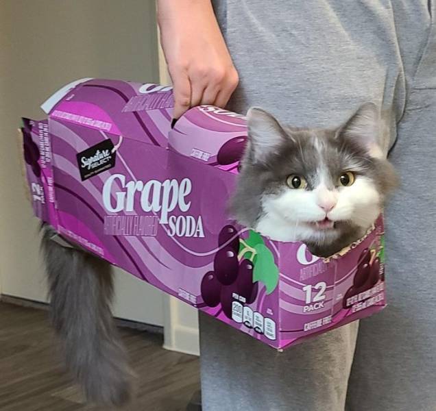 image.jpeg.4dd9ff3b1e6b75c5aa26435e4499735d.jpeg