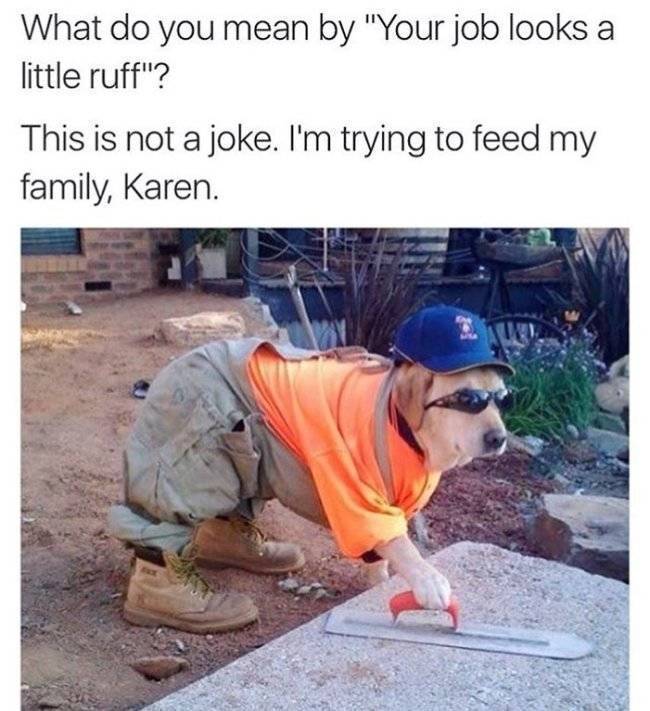 image.jpeg.66294eef0d2f2013602acf8cb143356a.jpeg