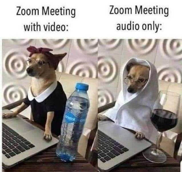 image.jpeg.83e09d10b9ec73475af5db76b33e4606.jpeg