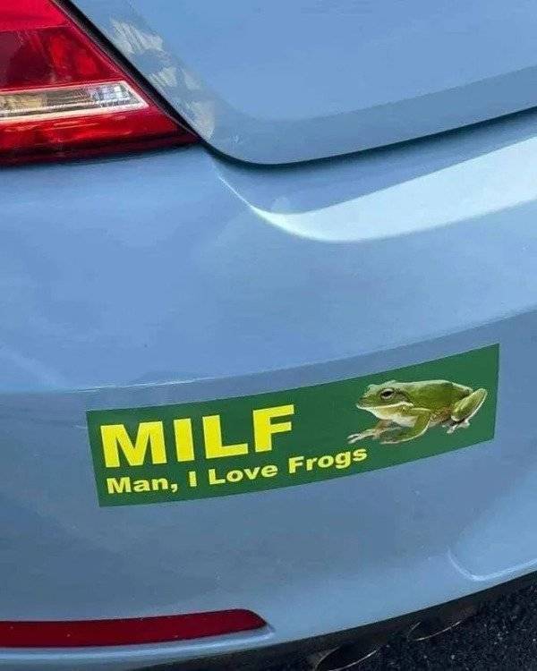 image.jpeg.b8ae75b1ce168bf390044ab4db0e33fc.jpeg