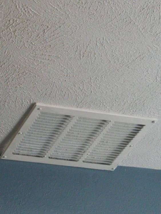 image.thumb.jpeg.0c7271e6c8ba469848fc00918244f955.jpeg