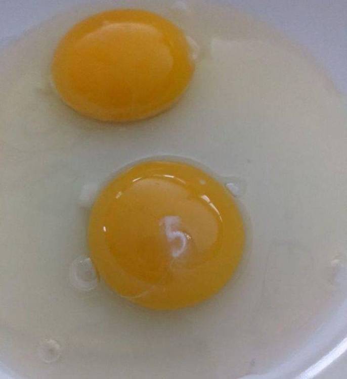 image.thumb.jpeg.4b4b412980762fb9910ef733eea462e5.jpeg