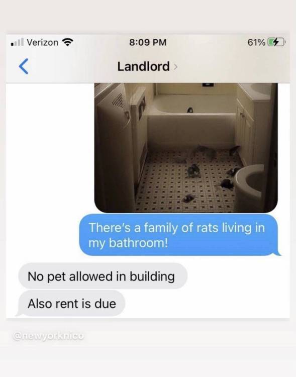 image.thumb.jpeg.576c54ab5beae95d30745f9221777d1a.jpeg