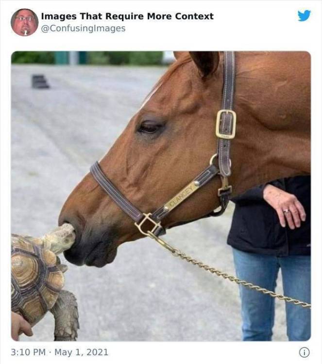 image.thumb.jpeg.64d6a15fd7e614aa175025cfadd570e4.jpeg