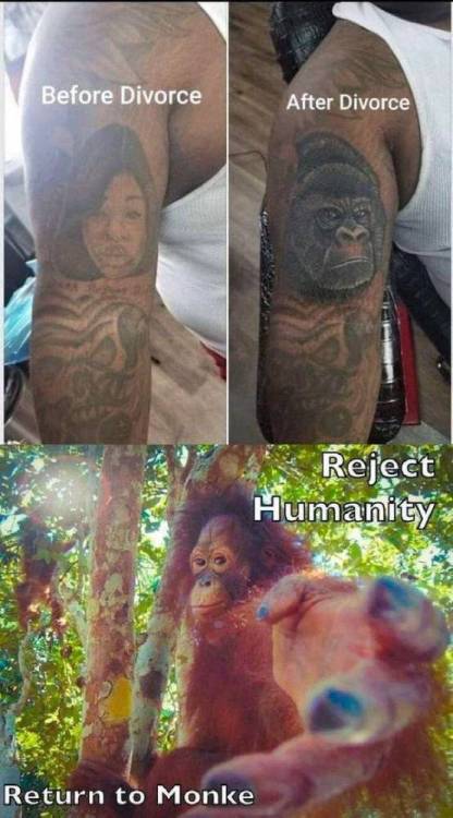 image.thumb.jpeg.9934081e4cd59225892c347d42e841a6.jpeg