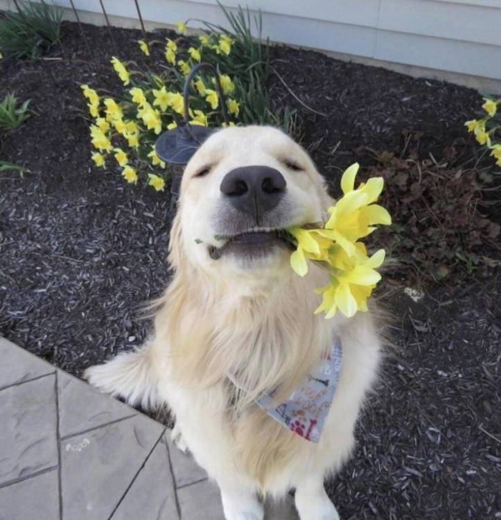 image.thumb.jpeg.b223bc8c909d2faa2778d1e5c37d2ea4.jpeg