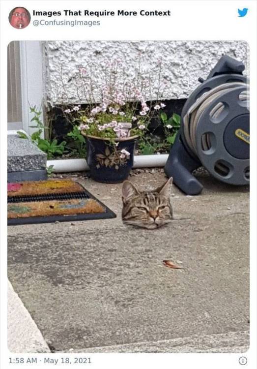 image.thumb.jpeg.ce3e191f50db3d80279e9827ab82c5d2.jpeg