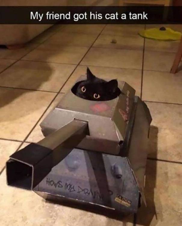 image.thumb.jpeg.dacad93d4021360702d85b2d3554ea9d.jpeg