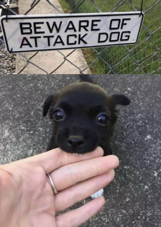image.thumb.jpeg.e218b6638b7e25d912e940c030017ead.jpeg