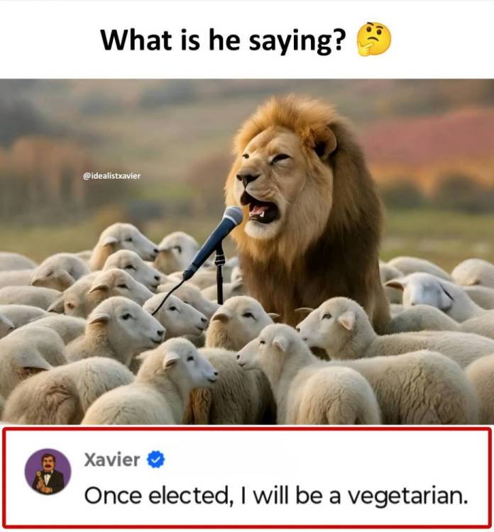 ioioio.jpg