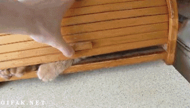 image.gif.112d2c193e37060c0412c482c9bee25e.gif