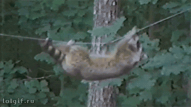 image.gif.1249f0f48d51bd151709717dfa3961ae.gif