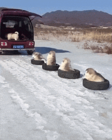 image.gif.1d4783b3e5741ac0e4985daf4b11e4b6.gif