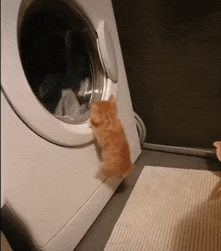 image.gif.2218e77fe465db67f411dc4a6b2e904f.gif