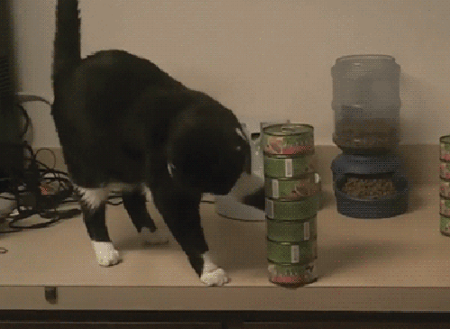 image.gif.2b72af28f2d79ffc786409f4cde4e166.gif