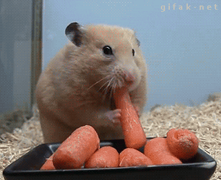 image.gif.367fdaf4f8bc17fcbfd95567ca82d6fa.gif