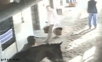 image.gif.3a1032c0c576110f861e287ea997e04f.gif