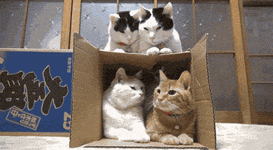 image.gif.5ea22e615ab1e33af1034d83307f0f9b.gif