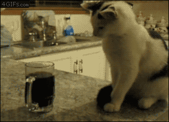 image.gif.635f51e7effe0884c1252ba6531d7393.gif