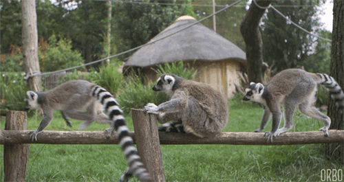 image.gif.69436c16d9659dce7e702ac3057f45a1.gif